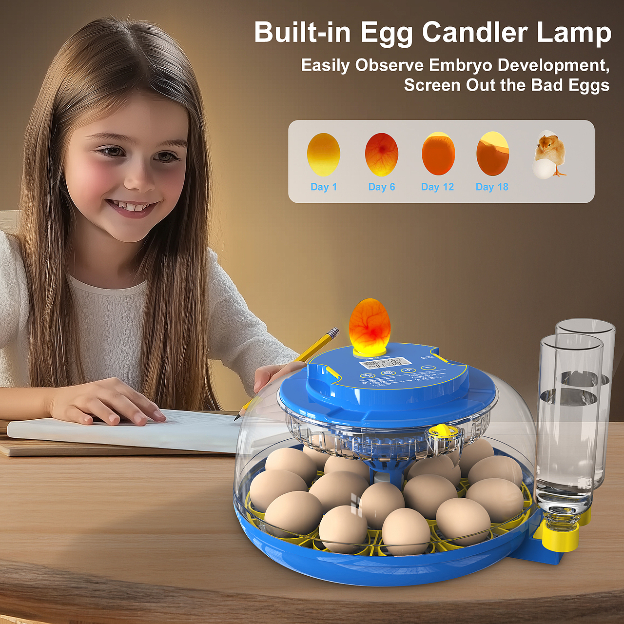 亞馬遜孵蛋器（圖ZMzg2NDI2ODMy） - 電商 - 站酷設(shè)計(jì)師濤濤曳原創(chuàng)素材 - 站酷ZCOOL