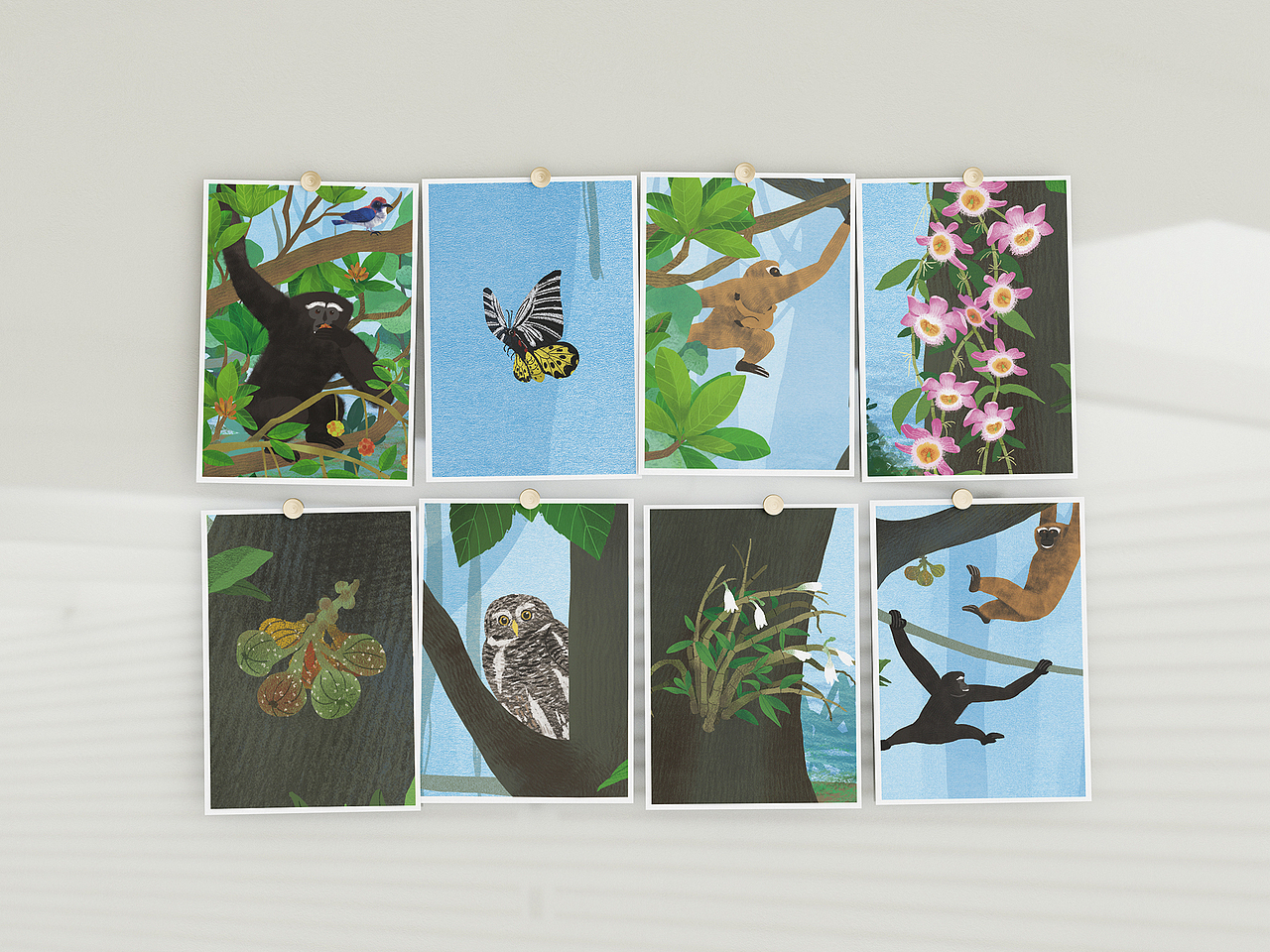 天行长臂猿生境科普插画