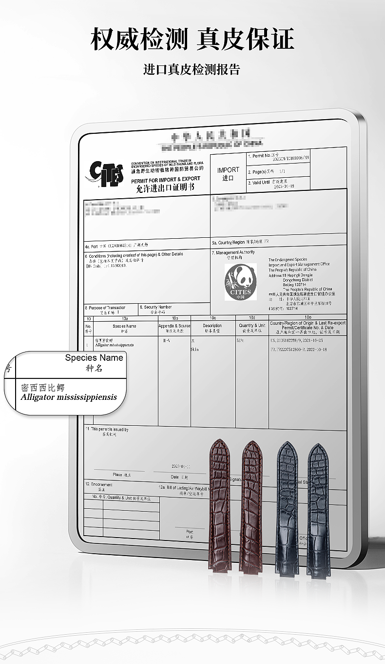 鳄鱼皮表带设计（图ZMzg2NDgxNDI0） - 其他平面 - 站酷设计师无无鱼原创素材 - 站酷ZCOOL