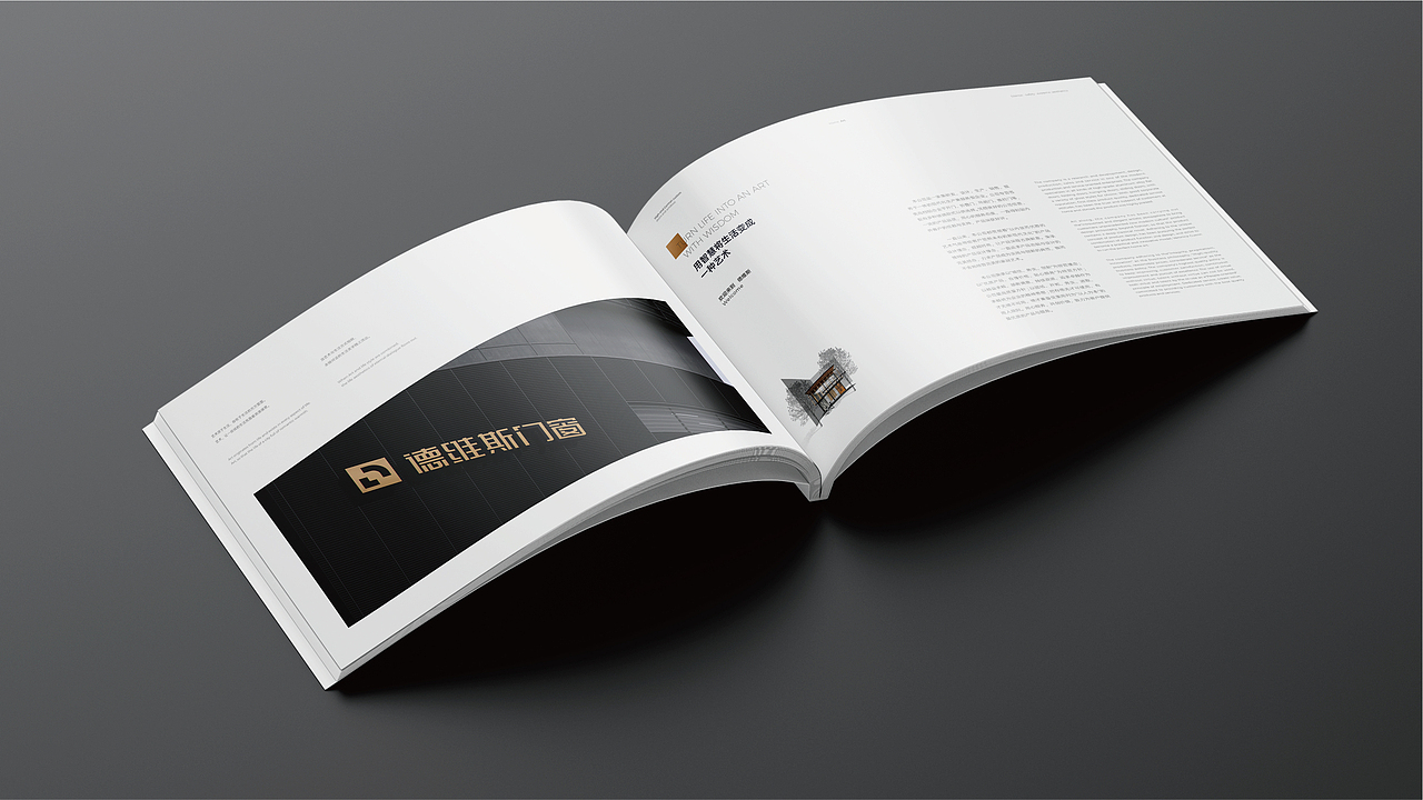 品牌设计+画册风格稿-德维斯门窗（图ZMzg2NDk4NjM2） - 品牌 - 站酷设计师PANGUOMIN原创素材 - 站酷ZCOOL