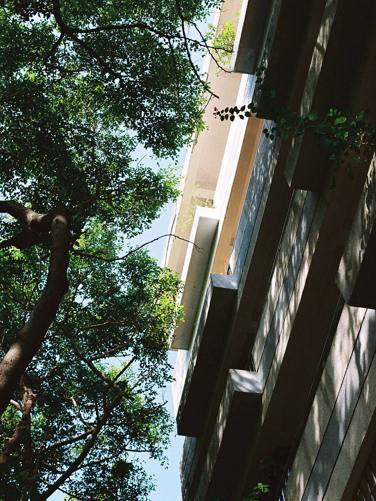 广州时间（图ZMzg2NTA4NjIw） - 人文/纪实摄影 - 站酷设计师光子iiii原创素材 - 站酷ZCOOL