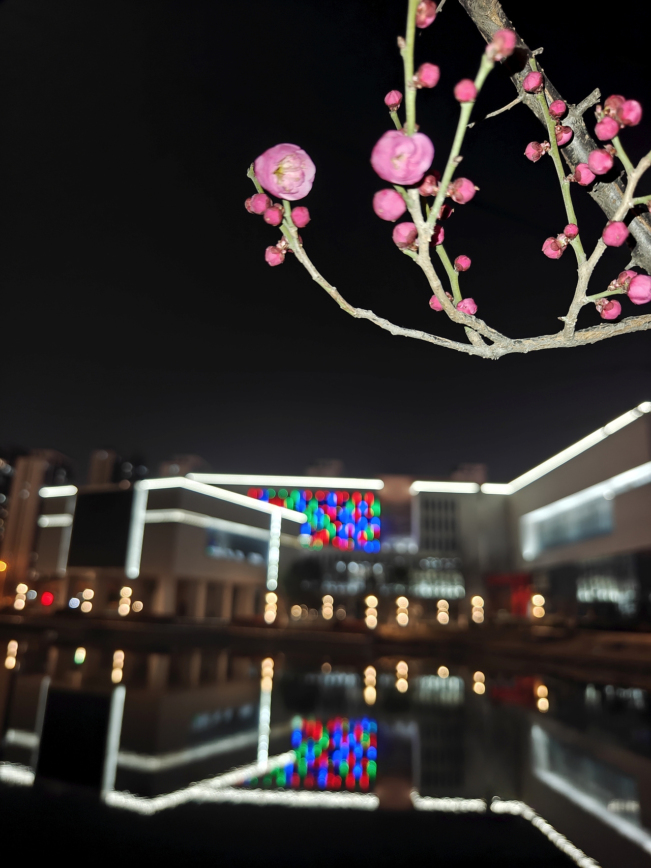 小径踏春去，梅香夜袭来！ #城市夜景# #梅#（图ZMzg2NTE2MTAw） - 环境/建筑摄影 - 站酷设计师凡尘077原创素材 - 站酷ZCOOL