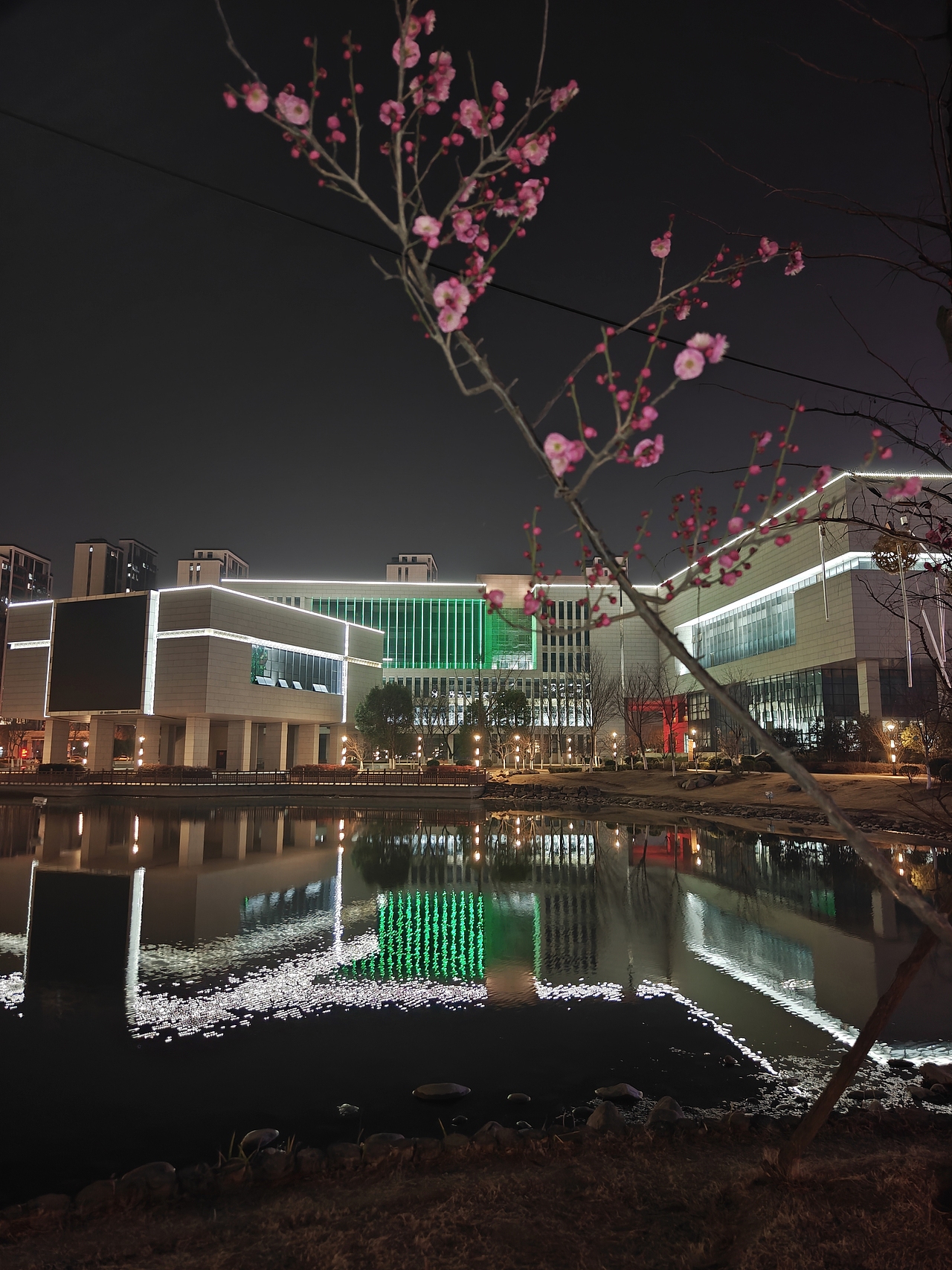 小径踏春去，梅香夜袭来！ #城市夜景# #梅#（图ZMzg2NTE2MTMy） - 环境/建筑摄影 - 站酷设计师凡尘077原创素材 - 站酷ZCOOL