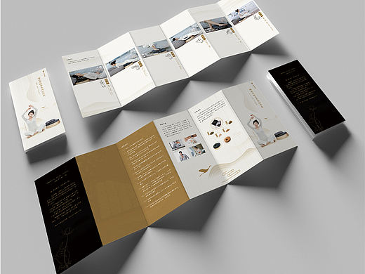 养生品折页及包装