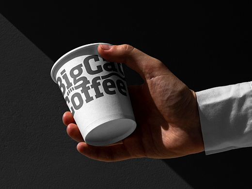 BigCat Coffee大猫咖啡品牌全案策划包装系统定位设计