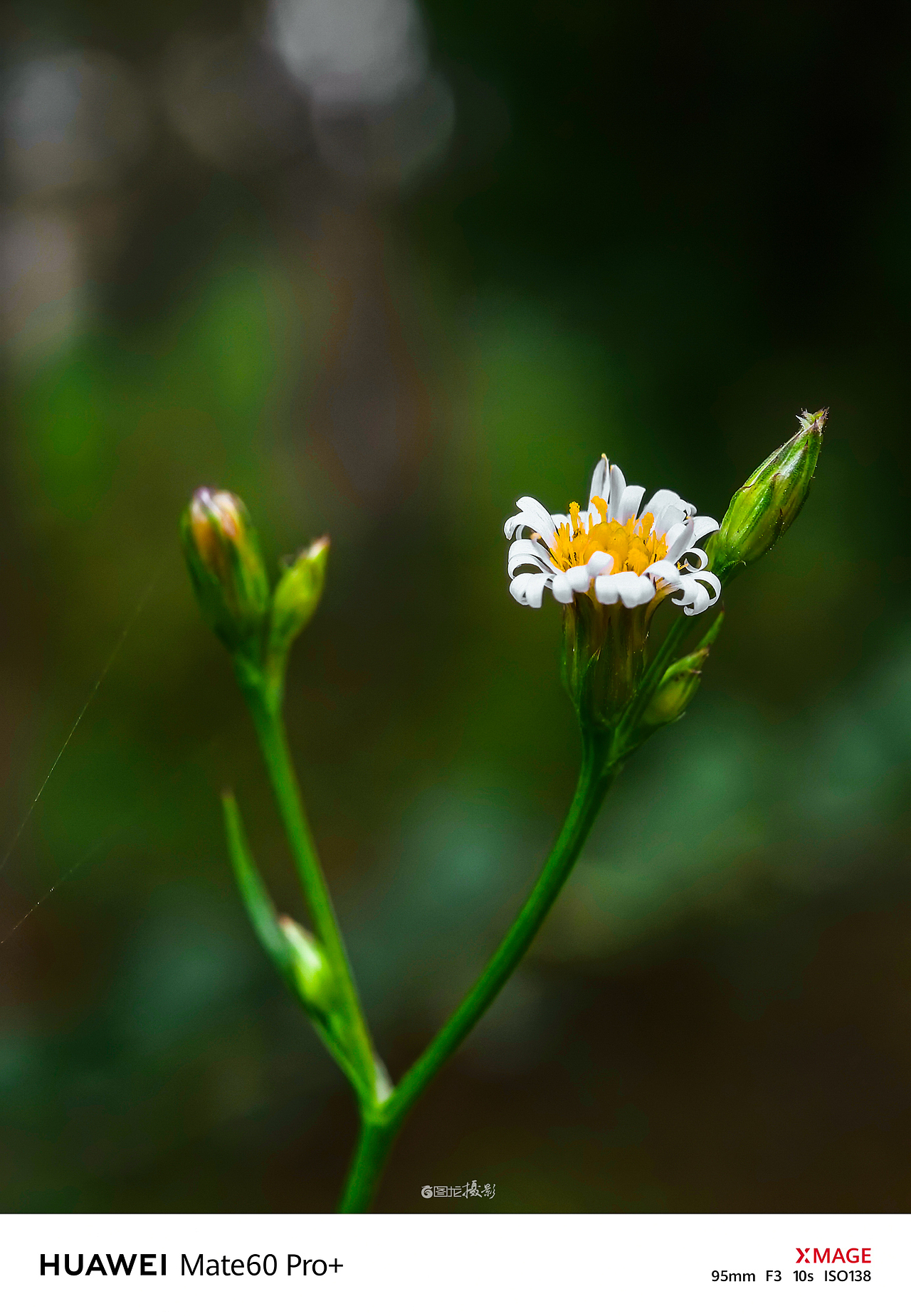 捕捉美好瞬间：用镜头记录生活中的小确幸（图ZMzg2NTMyNzQ0） - 风光摄影 - 站酷设计师图龙摄影原创素材 - 站酷ZCOOL