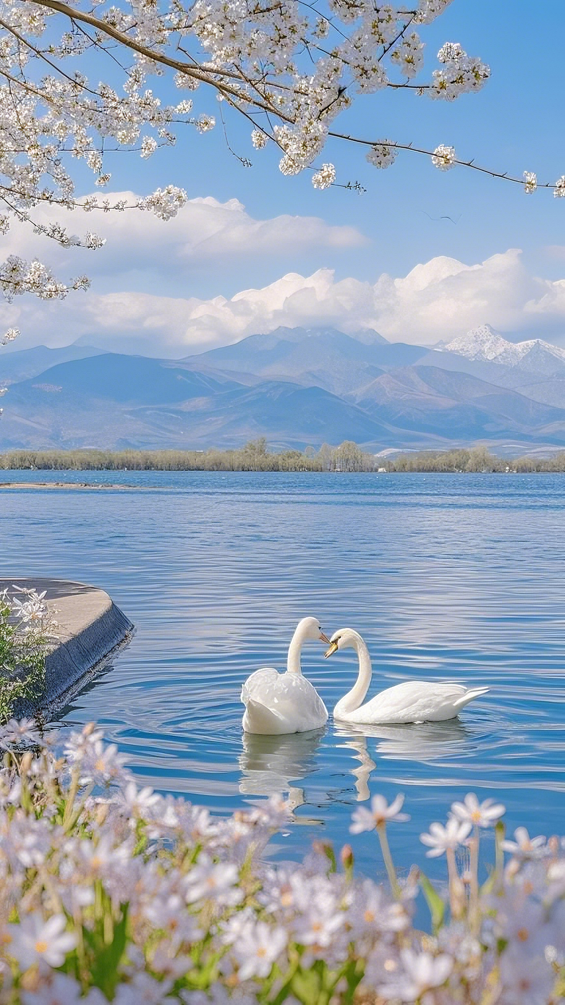 邂逅海边公路，把春天的浪漫打包带走（图ZMzg2NTU4ODc2） - 风光摄影 - 站酷设计师养一只梦中的月亮原创素材 - 站酷ZCOOL