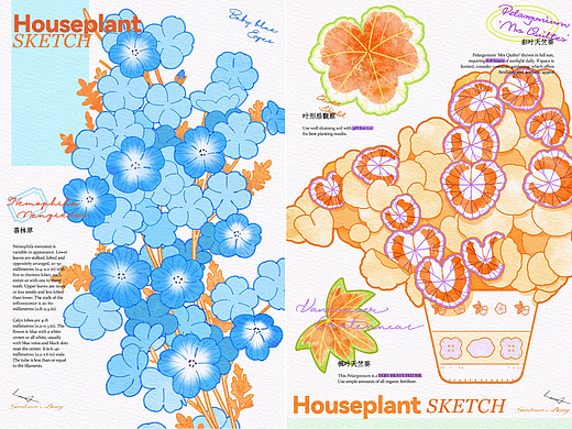 文创插画 | 植物自然笔记
