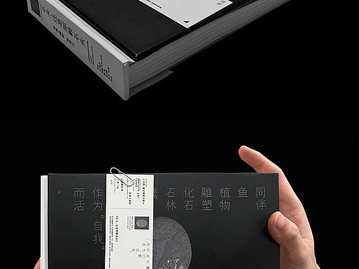 石头，还是那颗石头—书籍设计