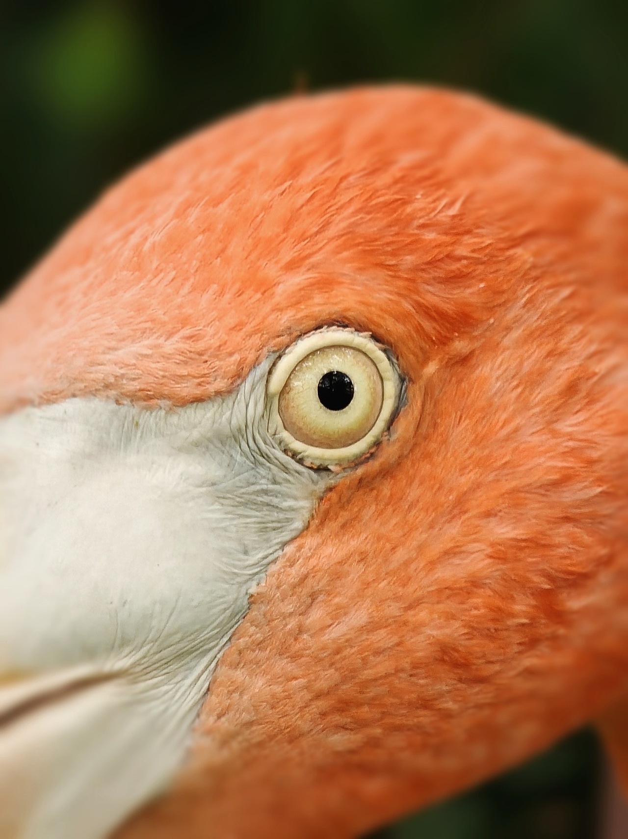 OPPOFind X7Ultra 手机摄影作品（图ZMzg2NTg2NjUy） - 风光摄影 - 站酷设计师杨口达口达原创素材 - 站酷ZCOOL