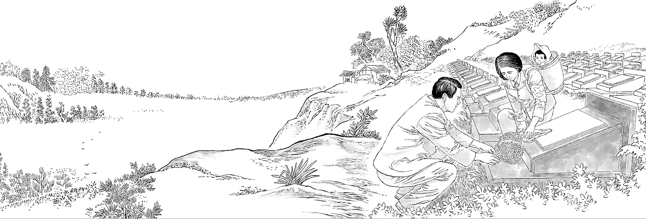 老连环画插画,内文配图,图书插画,写实插画,肖刚漫画,军事插画,肖刚漫画连环画,动物插画,已商用,请勿下载传播