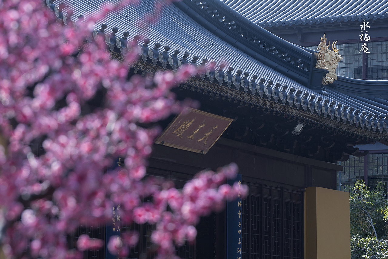 【禅意. 梅花】/永福庵（图ZMzg2NjI3MDMy） - 人文/纪实摄影 - 站酷设计师老陆逍遥原创素材 - 站酷ZCOOL