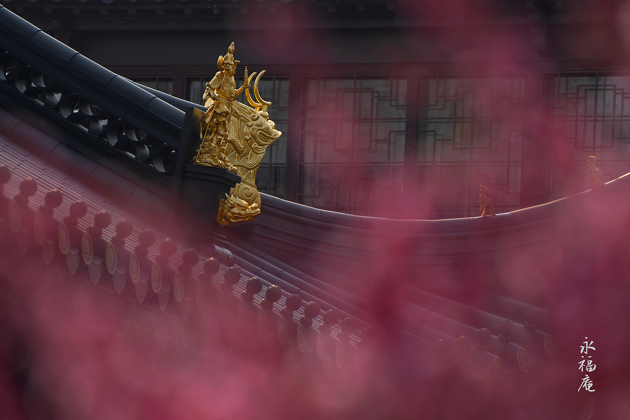 【禅意. 梅花】/永福庵（图ZMzg2NjI3MDQ0） - 人文/纪实摄影 - 站酷设计师老陆逍遥原创素材 - 站酷ZCOOL