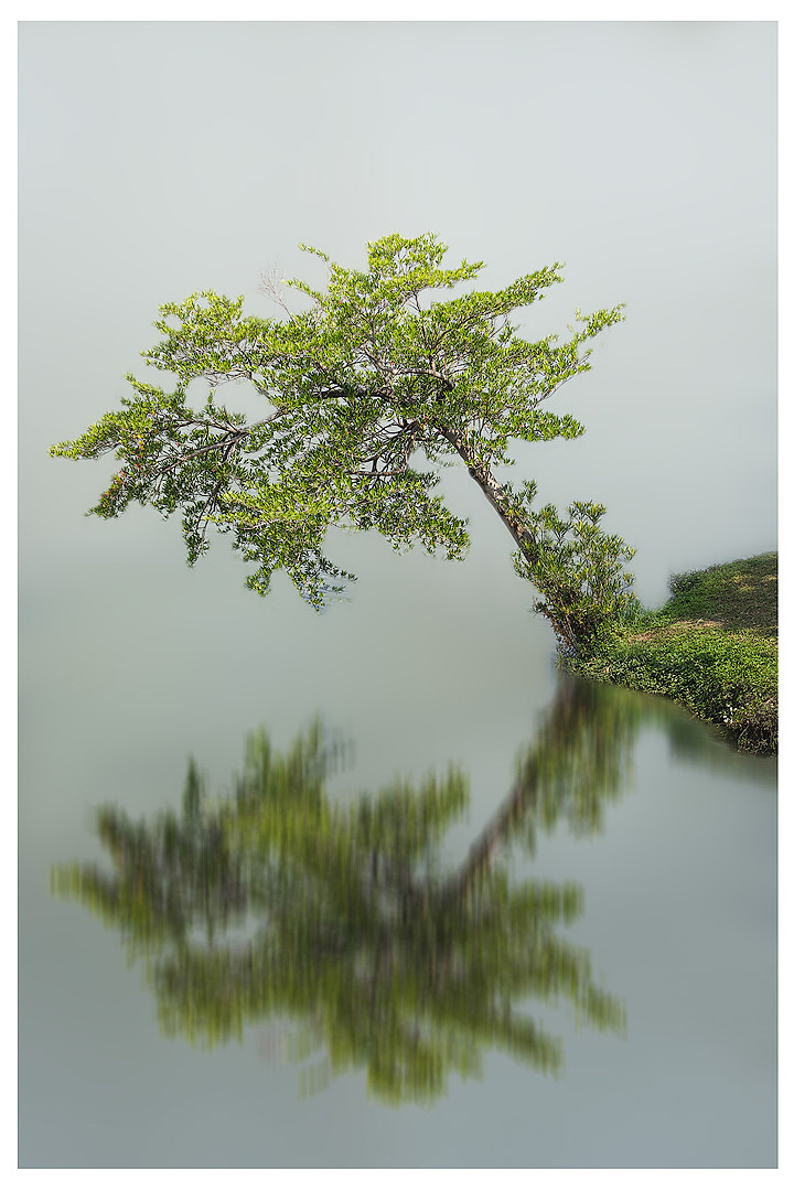 春日之旅（圖ZMzg2NjM1NDgw） - 環(huán)境/建筑攝影 - 站酷設計師筆頭啊原創(chuàng)素材 - 站酷ZCOOL