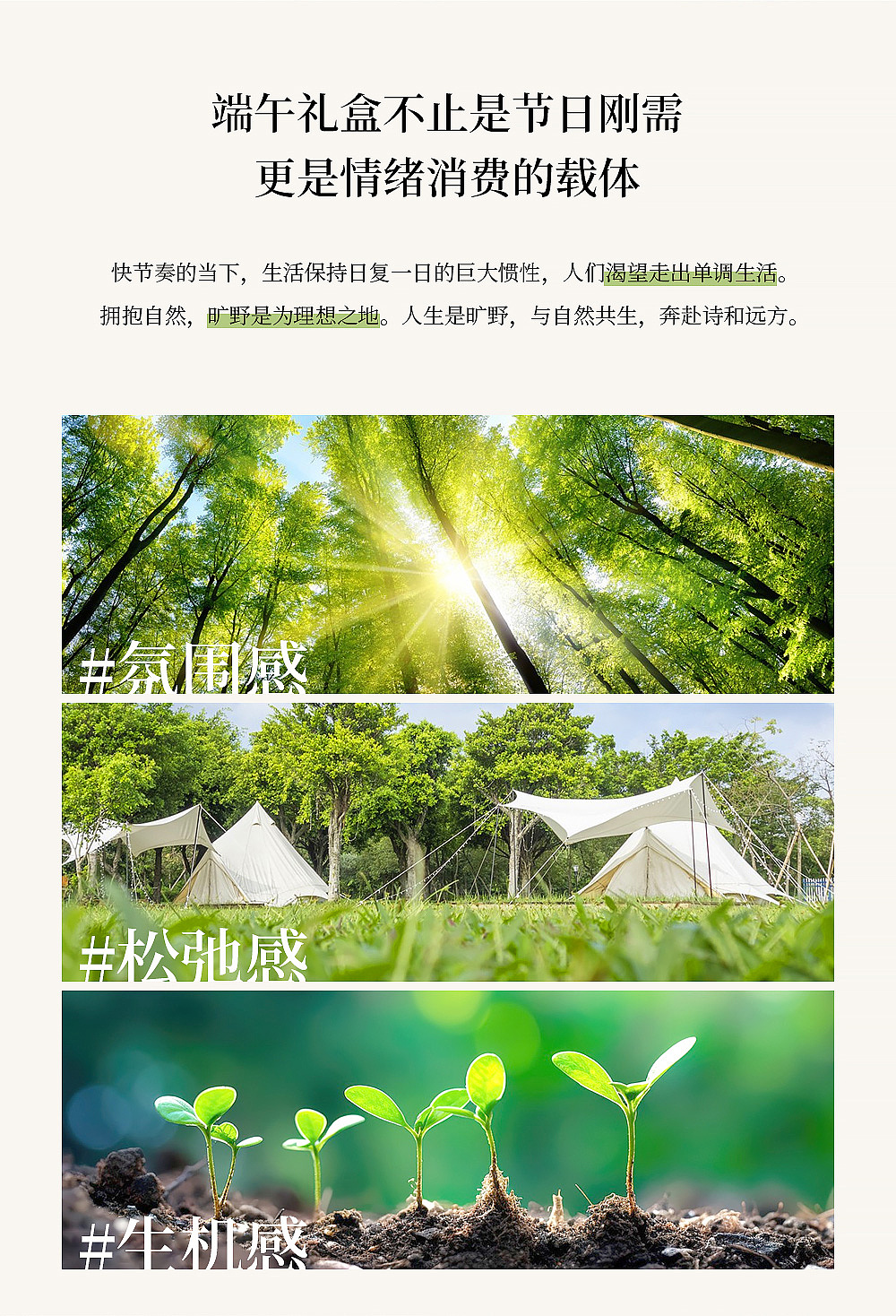 【方森园】端午疗愈感礼盒包装设计——《粽夏野》（图ZMzg2NjU4MDY0） - 包装 - 站酷设计师方森园包装原创素材 - 站酷ZCOOL