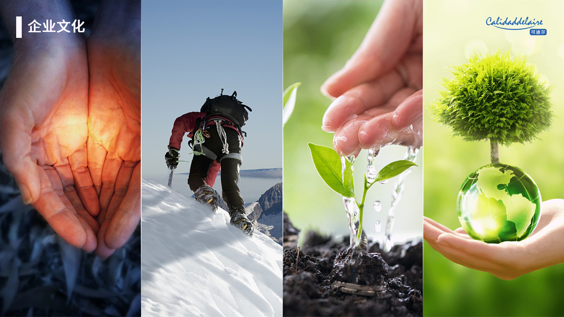 企业介绍PPT定制|可迪尔环境企业宣传介绍PPT设计