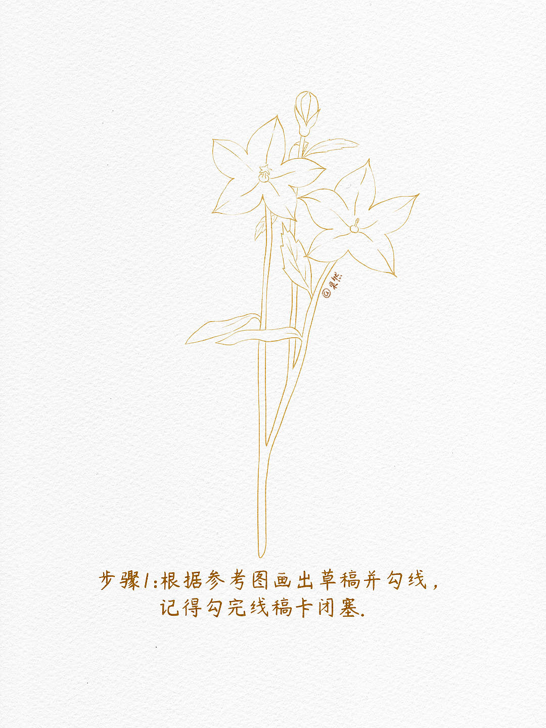 5步学会❗️ipad水彩插画之桔梗花（附步骤）（图ZMzg2NzA5NDI4） - 商业插画 - 站酷设计师插画师果然原创素材 - 站酷ZCOOL