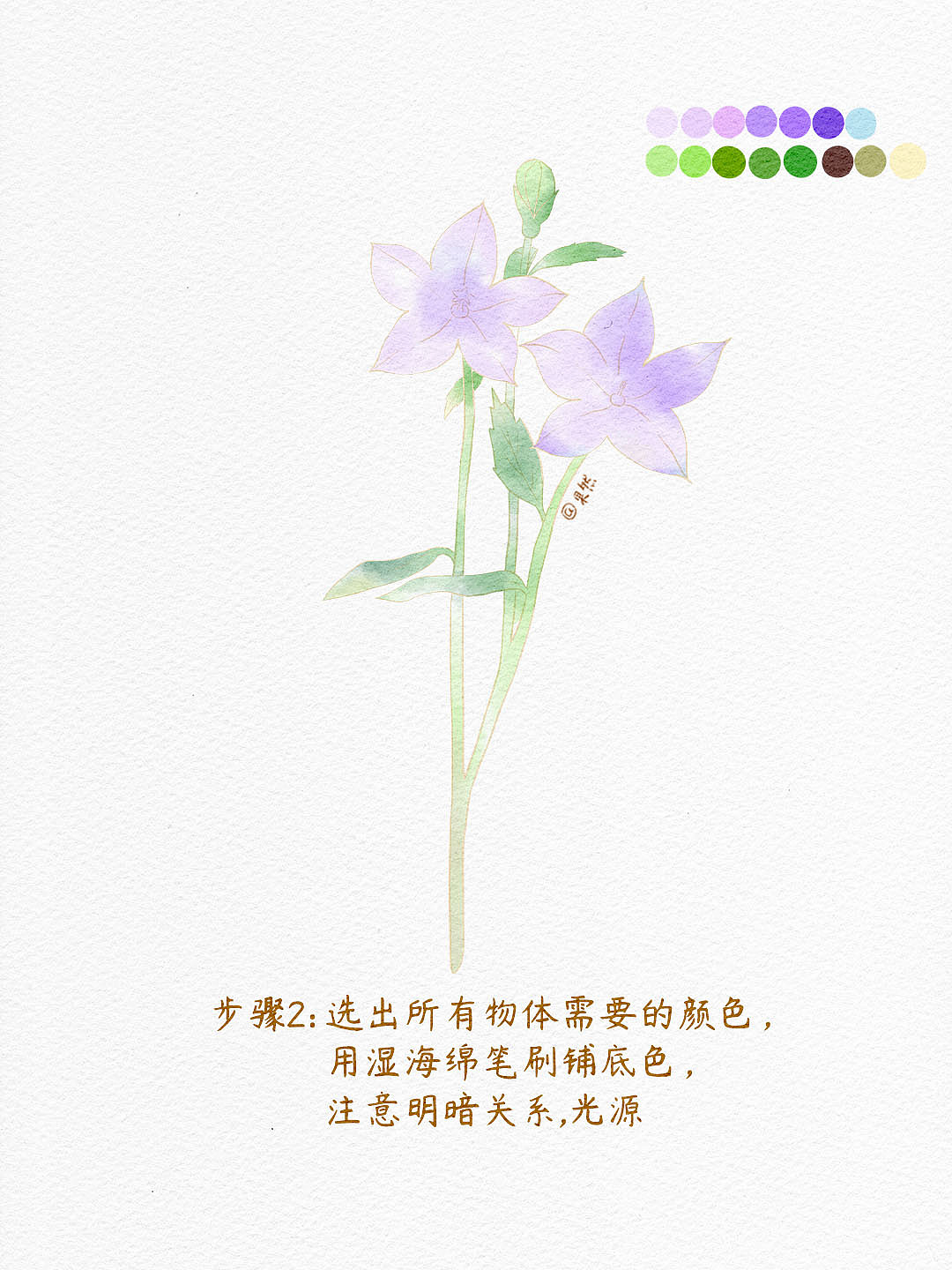 5步学会❗️ipad水彩插画之桔梗花（附步骤）（图ZMzg2NzA5NDMy） - 商业插画 - 站酷设计师插画师果然原创素材 - 站酷ZCOOL