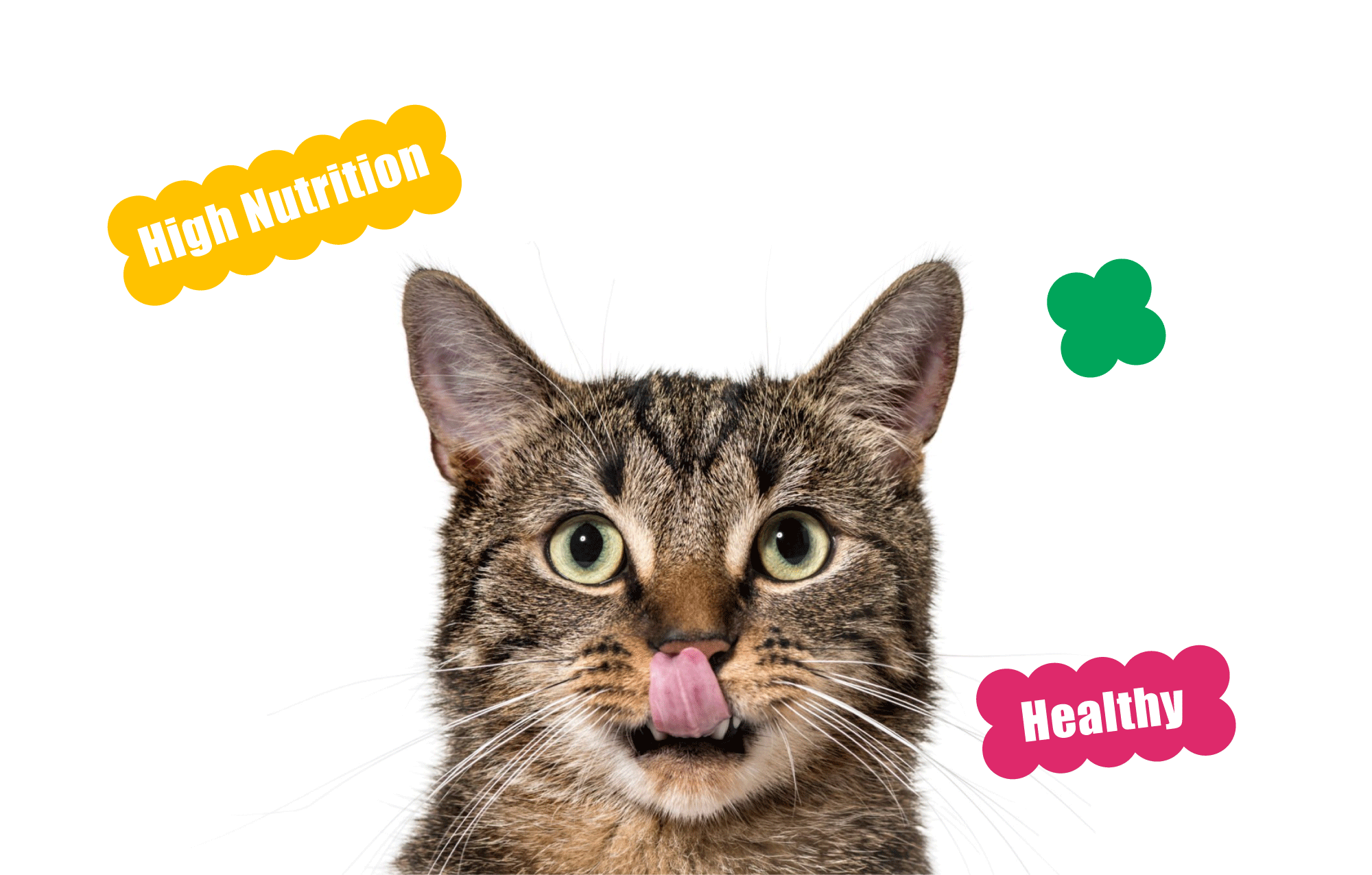 YOMI冻干生骨肉系列猫主食｜IP 包装 视觉 品牌设计（图ZMzg2NzExOTI4） - 包装 - 站酷设计师请多关照品牌设计原创素材 - 站酷ZCOOL