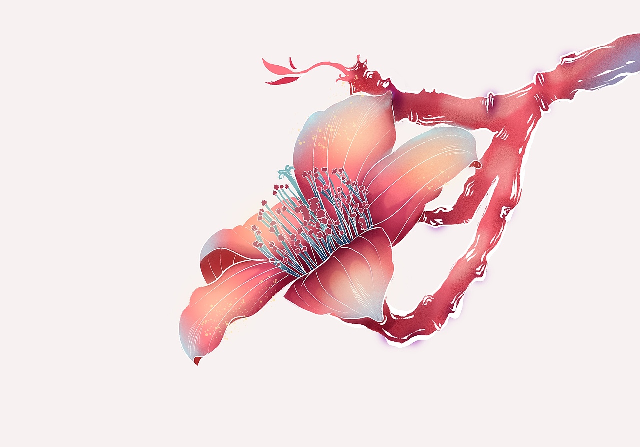 木棉花？木棉花吧（图ZMzg2NzI5NDI0） - 商业插画 - 站酷设计师屁股真软原创素材 - 站酷ZCOOL