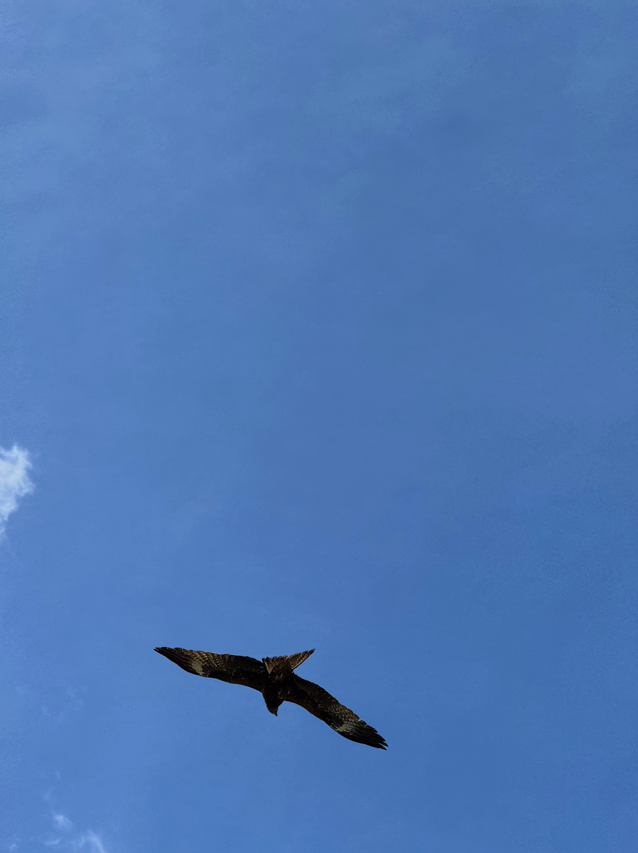 飞猪阿勒泰房车音乐节主装置（图ZMzg2NzI5Mzky） - 其他空间 - 站酷设计师不是美术馆原创素材 - 站酷ZCOOL