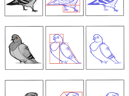 抓型练习加素材