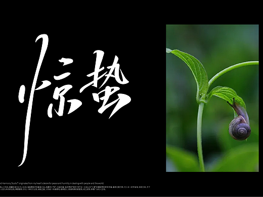 今日，惊蛰！