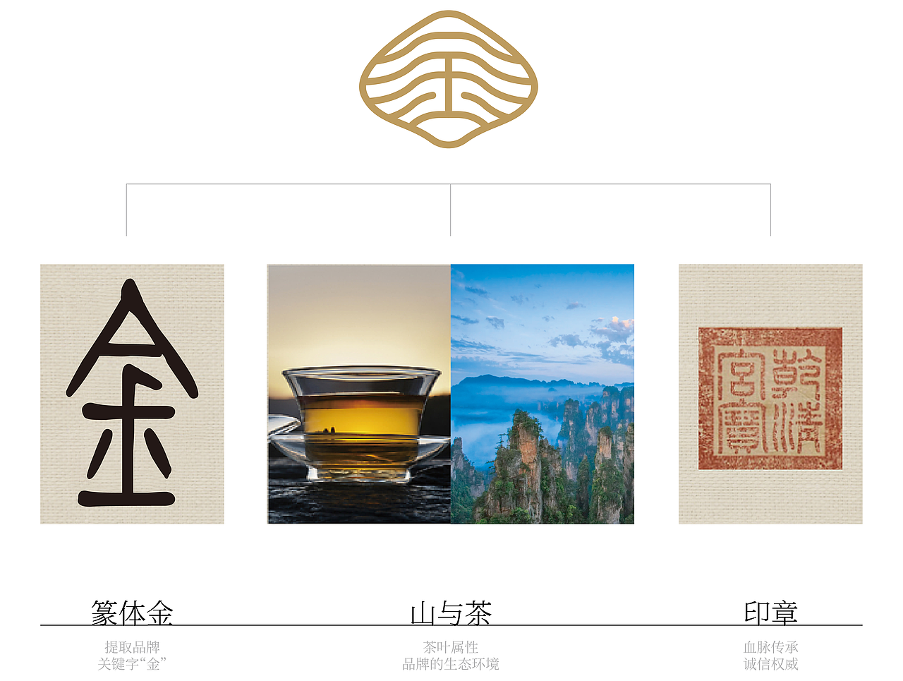 时代七设原创｜张家界莓茶品牌形象设计