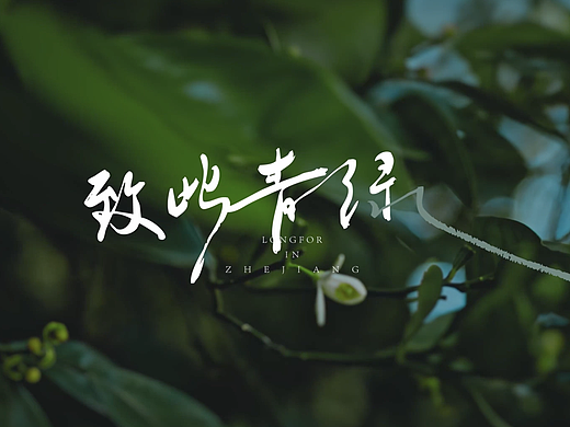 龙湖浙江-御湖境「致此青绿」视频