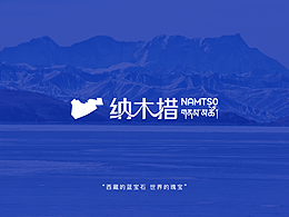 纳木措logo设计