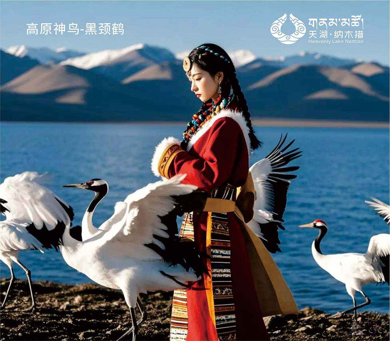 纳木措景区标识视觉创意设计LOGO设计