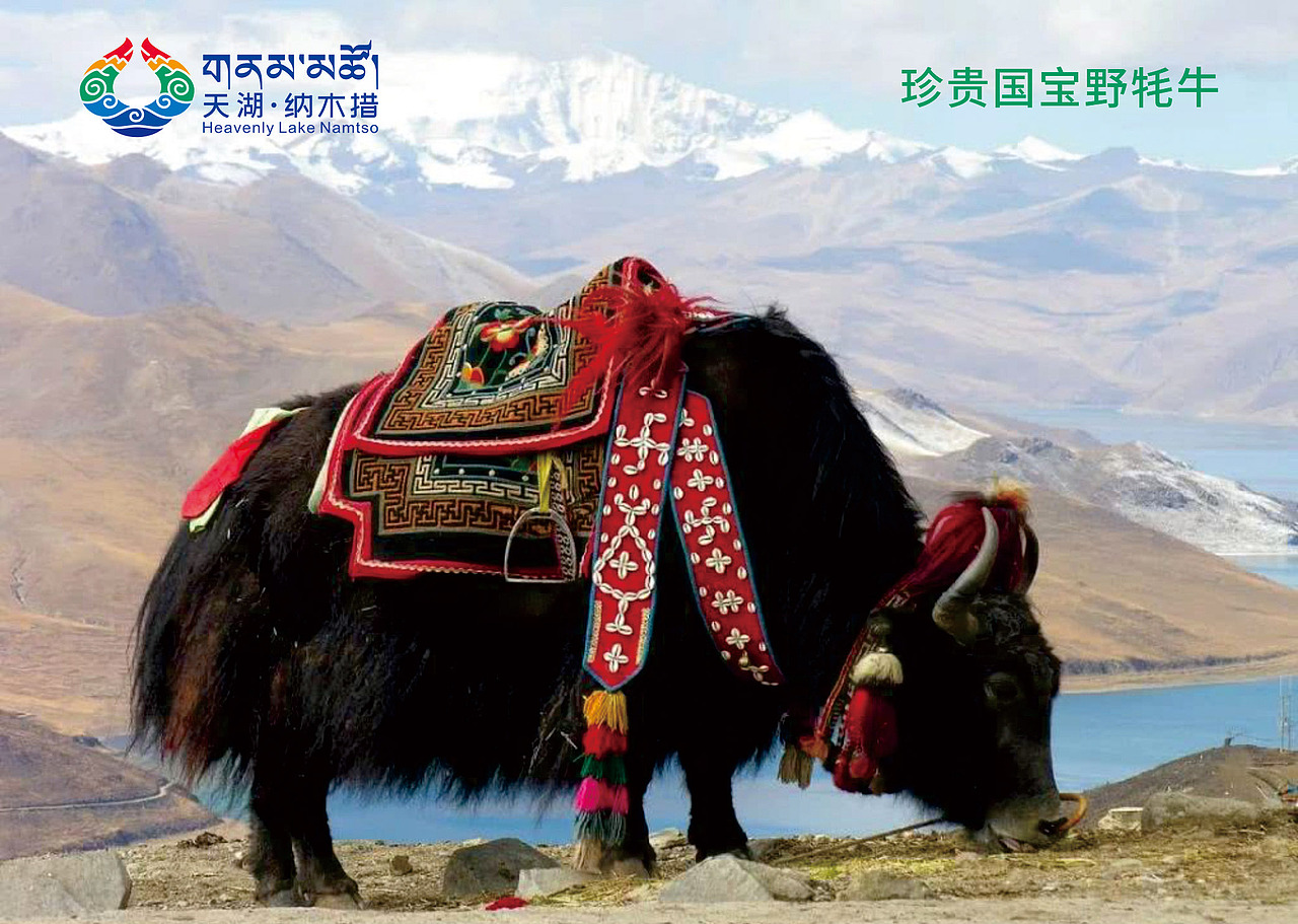 纳木措景区标识视觉创意设计LOGO设计