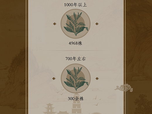 多媒体UI-AR互动茶叶贸易