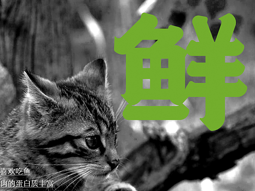 福建坊中鲜（餐饮）品牌LOGO/VI设计