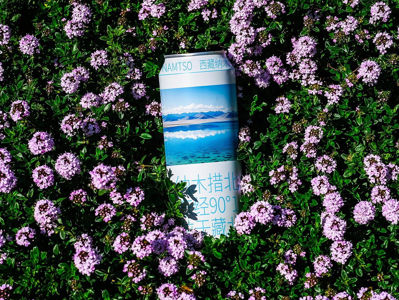 LOGO 景区LOGO设计 西藏纳木措风景区文旅LOGO VI设计