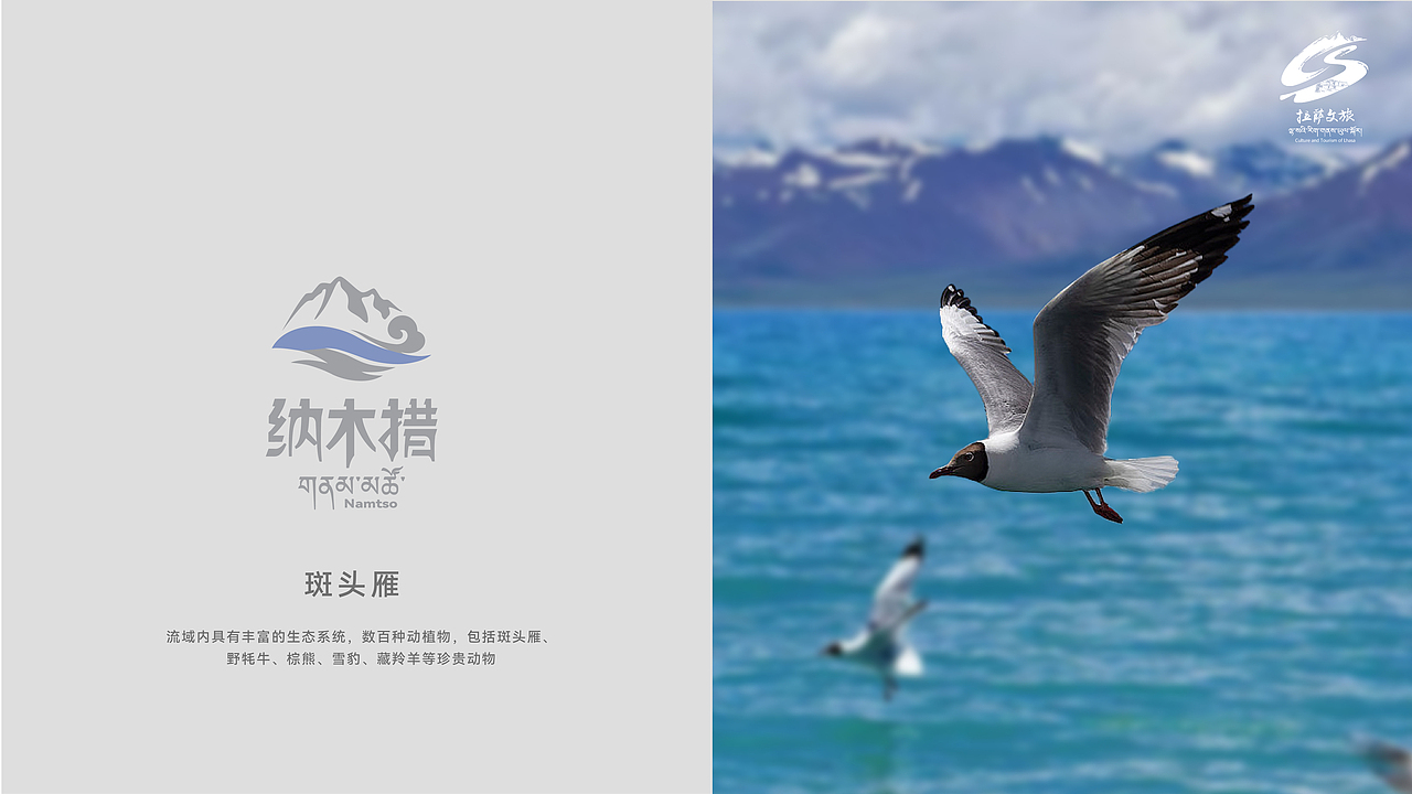 纳木错景区标识设计
