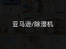 除湿机（亚马逊）