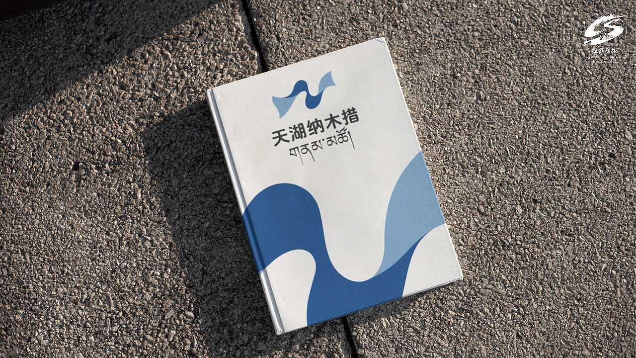 品牌设计，纳木措标志