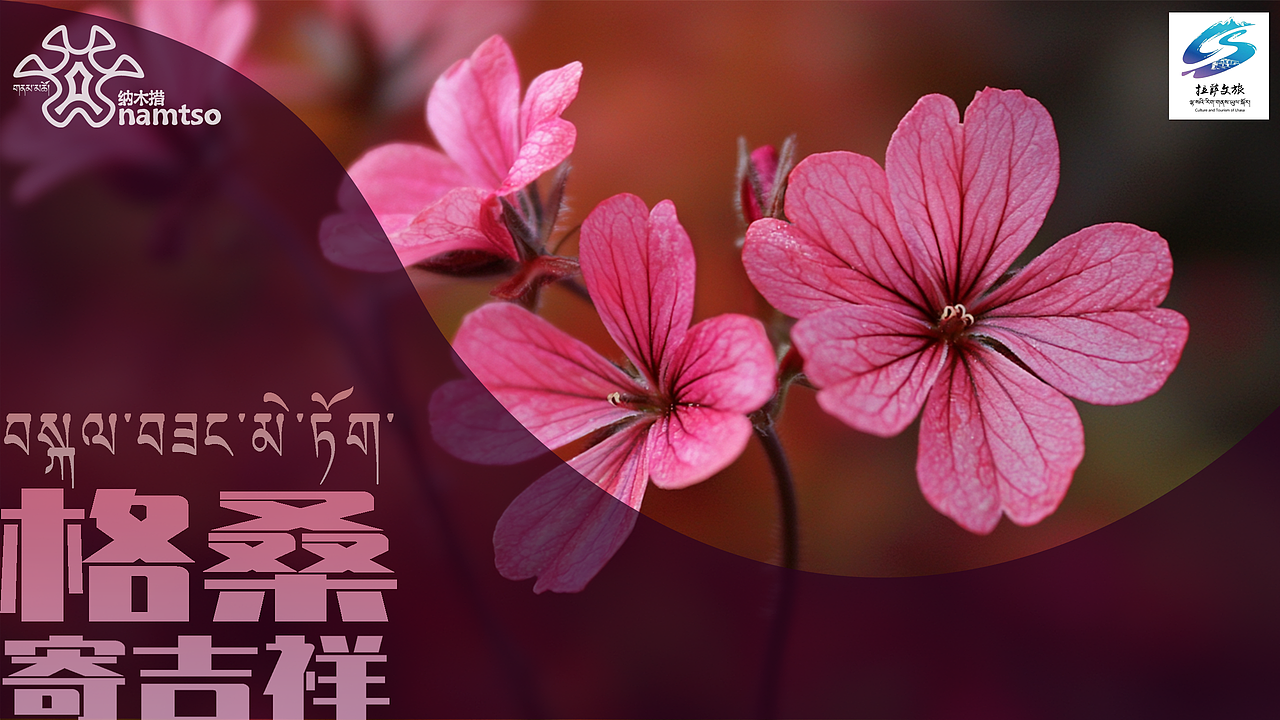 纳木措景区标识设计（图ZMzg2ODM3Mjg0） - Logo - 站酷设计师七羽安设计原创素材 - 站酷ZCOOL