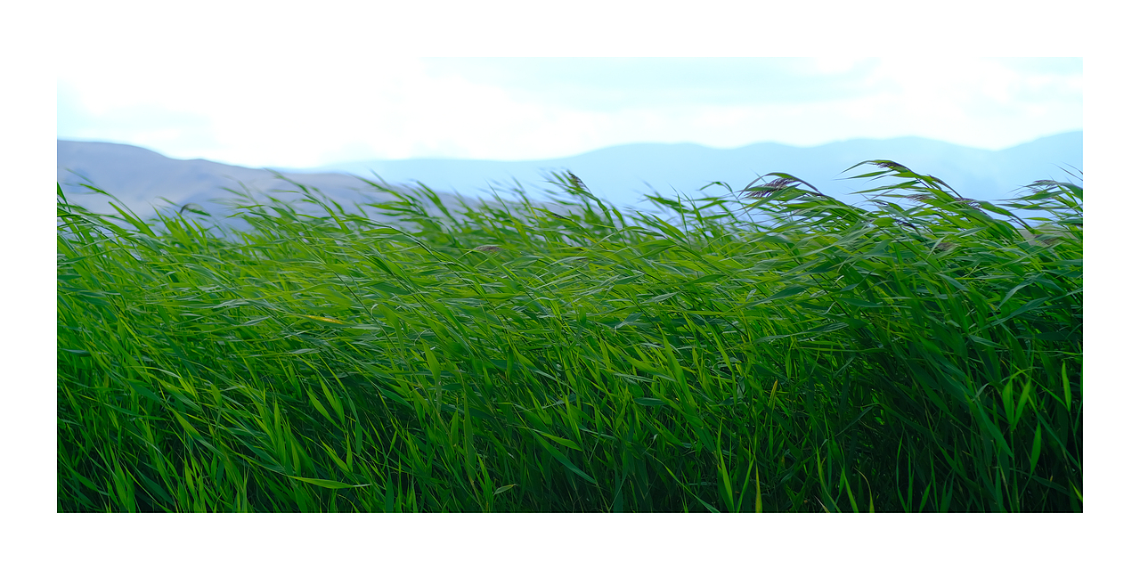 2024自驾川西青海新疆（图ZMzg2ODQwODAw） - 风光摄影 - 站酷设计师LinkZeng原创素材 - 站酷ZCOOL