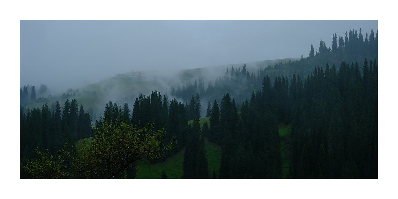 2024自驾川西青海新疆（图ZMzg2ODQyMDEy） - 风光摄影 - 站酷设计师LinkZeng原创素材 - 站酷ZCOOL