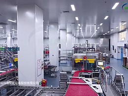 自動化生產(chǎn)線