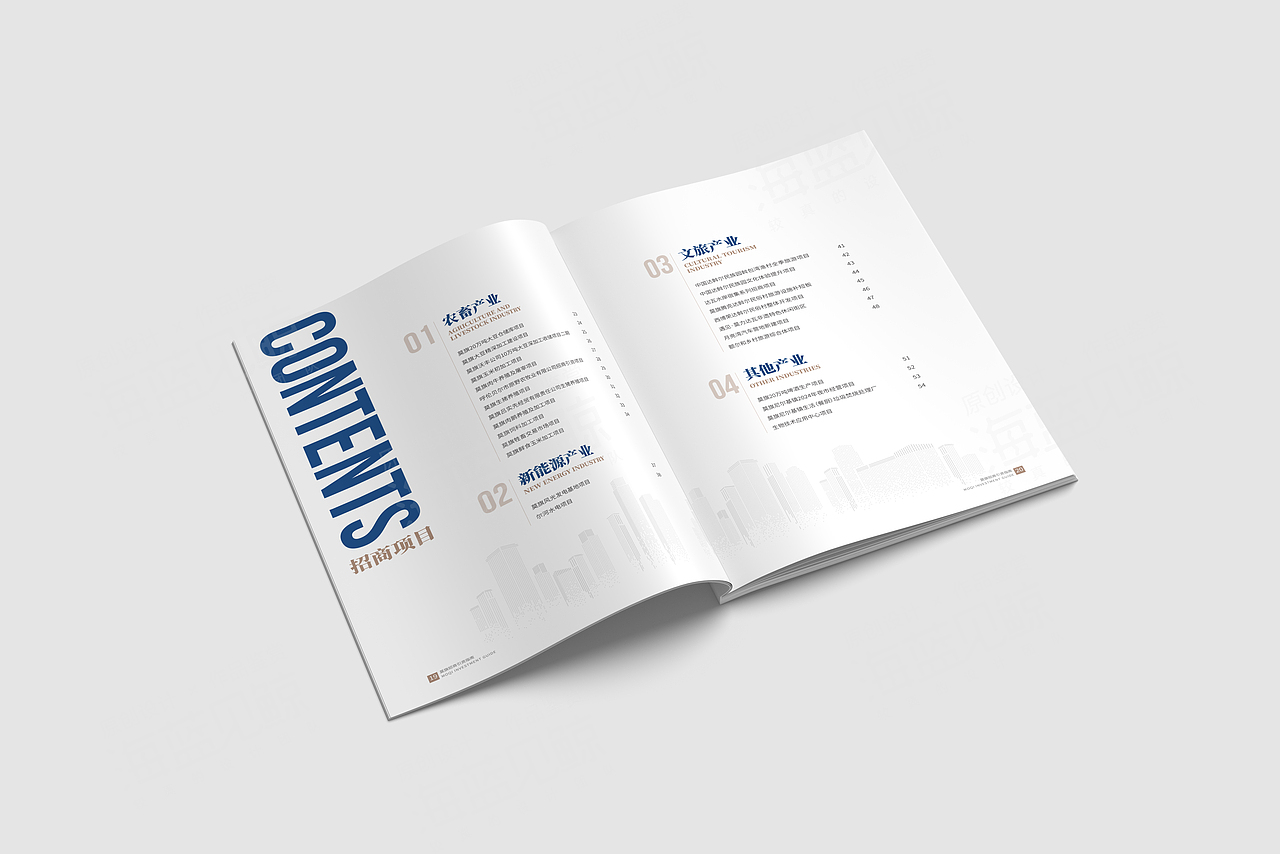 地区招商引资中英文画册