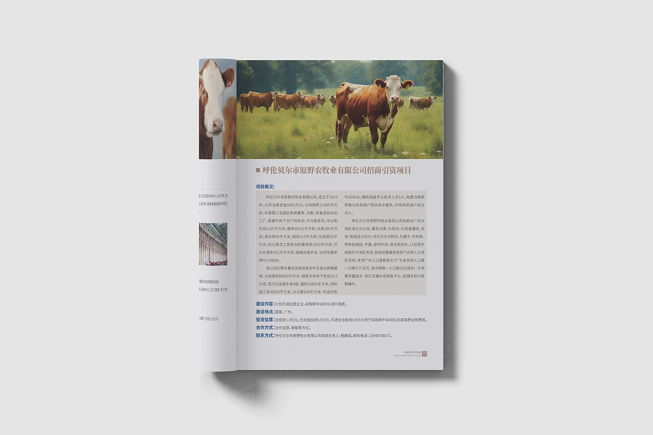 地区招商引资中英文画册