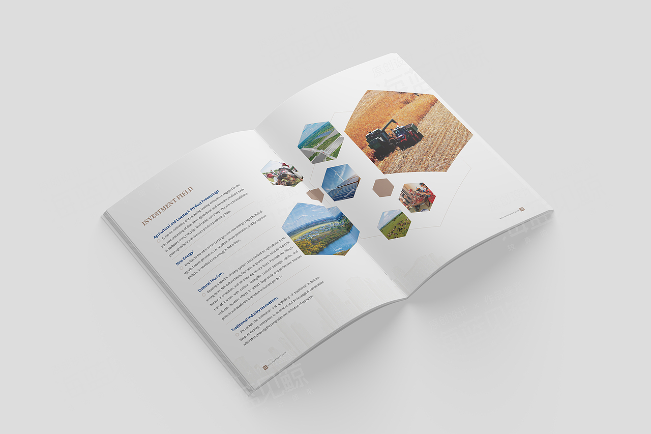 地区招商引资中英文画册