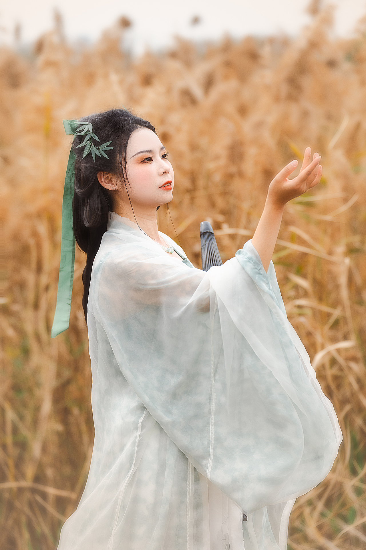 厦门芦苇古风摄影（图ZMzg2ODUwNDQ0） - 人像摄影 - 站酷设计师摄影师波子原创素材 - 站酷ZCOOL