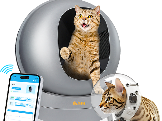 amazon宠物用品-猫砂盆（个人主页-ZNzE1MjMyNjQ=） - 品牌 - 站酷设计师sure小西原创素材 - 站酷ZCOOL