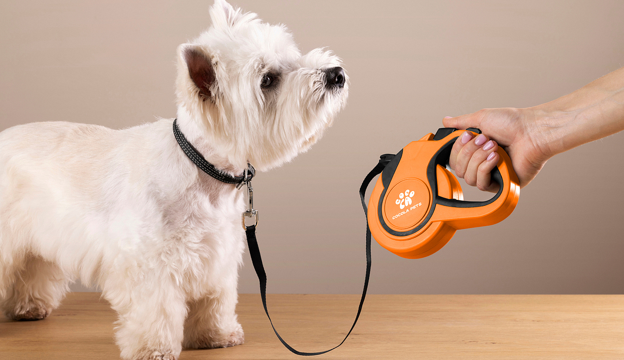 宠物品牌｜视觉设计（图ZMzg2ODc4MDg4） - Logo - 站酷设计师Ecco_studio原创素材 - 站酷ZCOOL