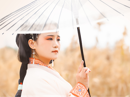 厦门芦苇古风摄影