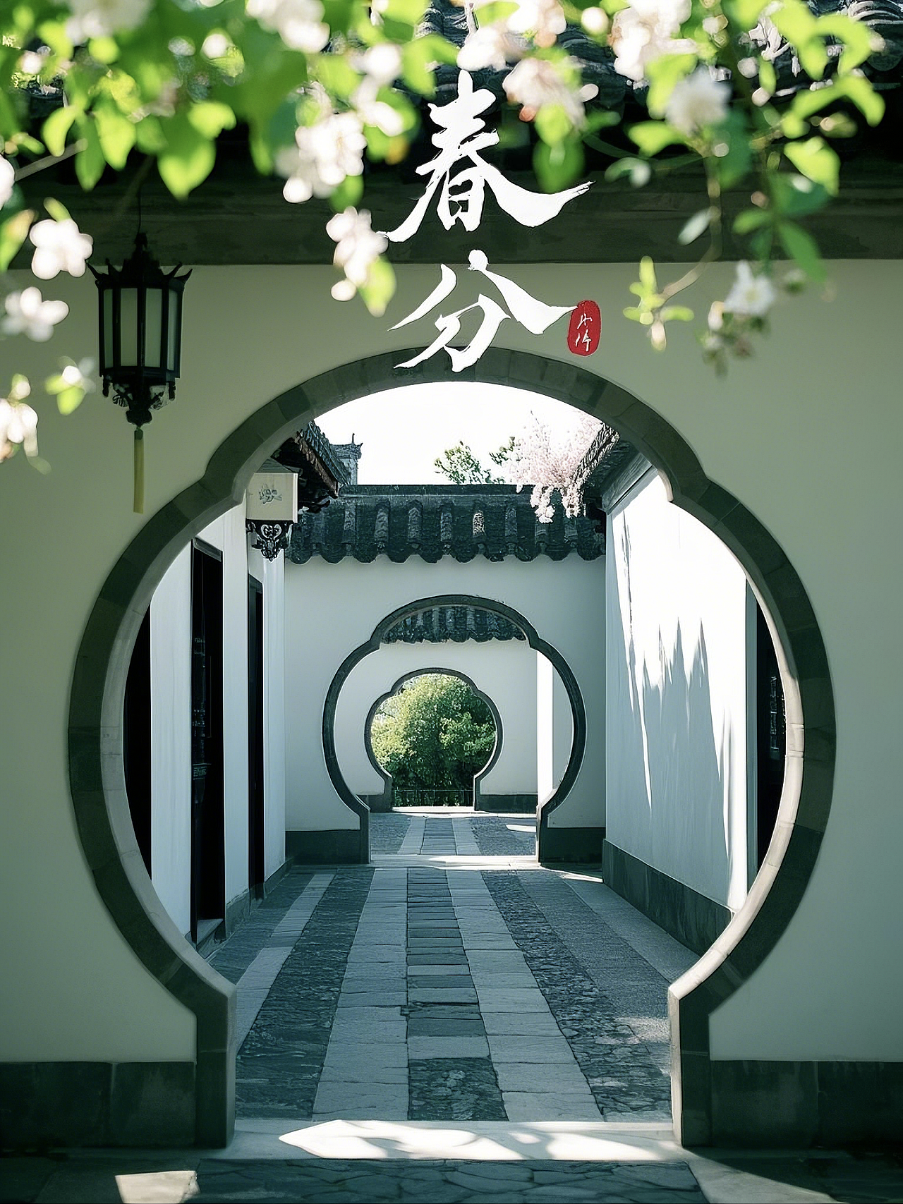 春分(3)|春不误,花有信